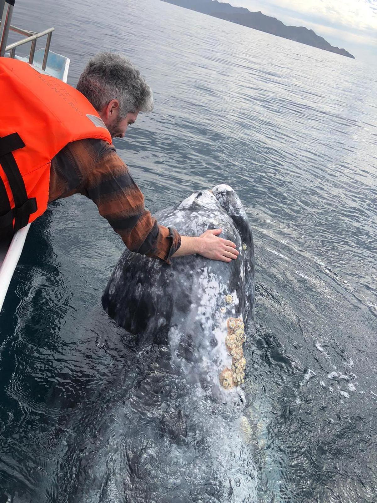 Hotel- Whale Tours And Sport Fishing Vista Mag-Bay Puerto San Carlos Exterior foto