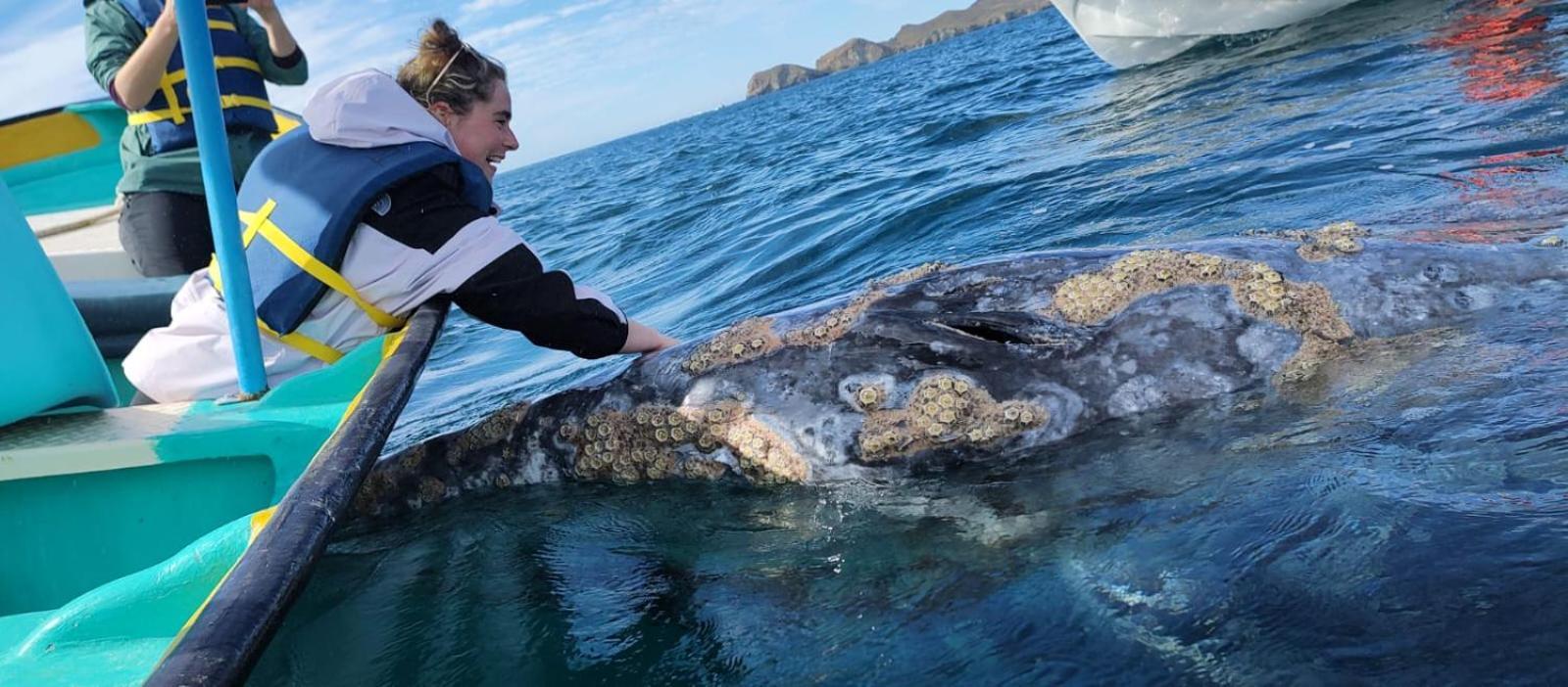Hotel- Whale Tours And Sport Fishing Vista Mag-Bay Puerto San Carlos Quarto foto